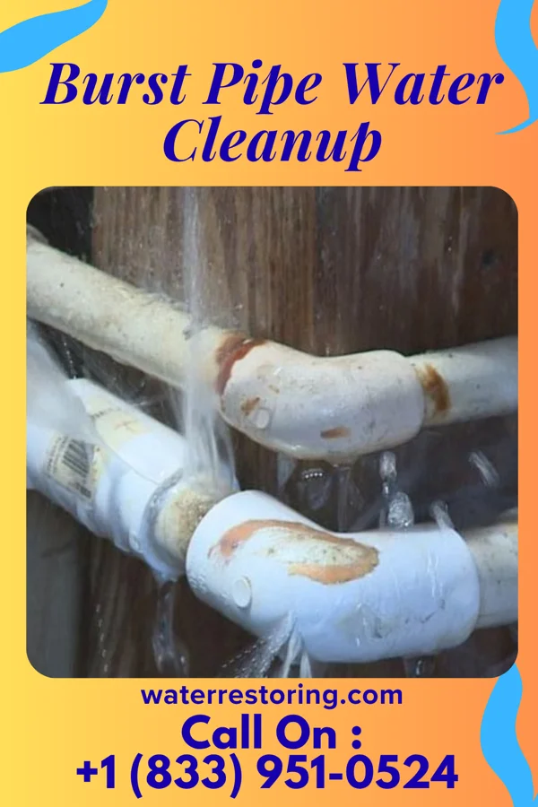 Burst Pipe Water Cleanup in Metamora, MI