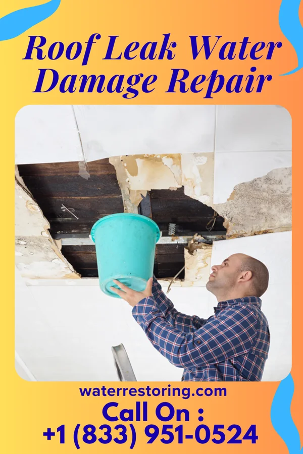 Roof Leak Water Damage Repair in Metamora, MI